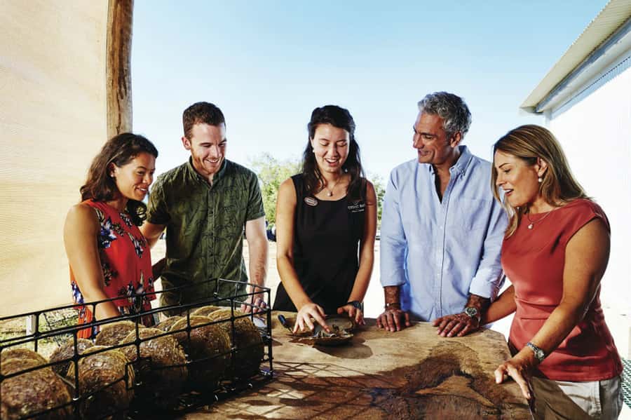 Cygnet Bay Pearl Farm Behind-the-Scenes Tour & Live Harvest - Your 1-hour flow: history, live harvest, then pearl grading