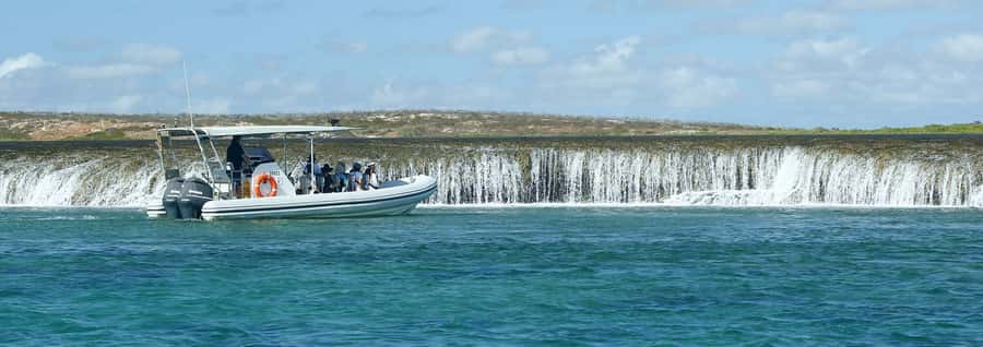 Cygnet Bay Unique Tidal Waterfall Reefs Scenic Cruise - Key highlights you should care about