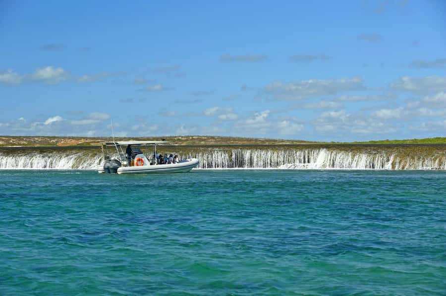 Cygnet Bay Unique Tidal Waterfall Reefs Scenic Cruise - The 2-hour sea safari, how the timing and stops unfold