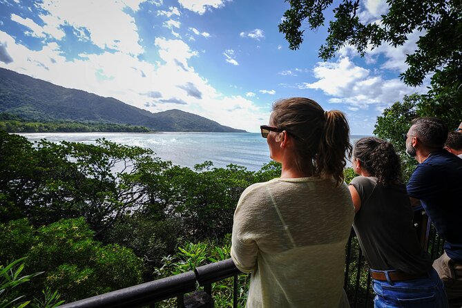 Daintree, Cape Tribulation & River Cruise from Port Douglas - Key highlights you should actually care about