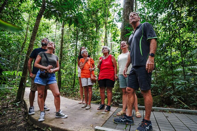 Daintree, Cape Tribulation & River Cruise from Port Douglas - How a Daintree day trip from Port Douglas is worth your time