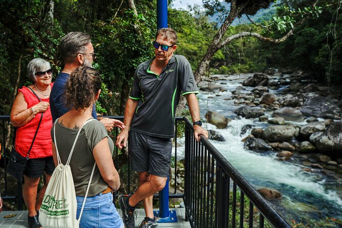 Daintree, Cape Tribulation & River Cruise from Port Douglas - Daintree National Park boardwalk walk: the rainforest in close-up