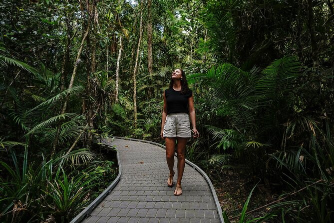 Daintree, Cape Tribulation & River Cruise from Port Douglas - Heritage Lodge lunch in the rainforest: where the day slows down