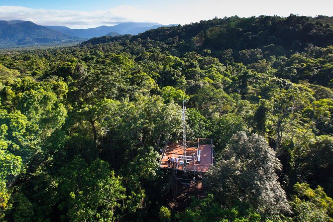 Daintree Discovery Centre Single Pass - Daintree Discovery Centre Single Pass: What you really get