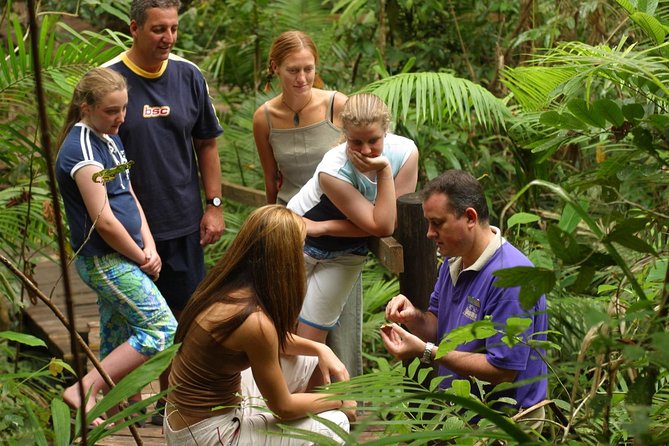 Daintree Discovery Centre Single Pass - Jurassic Forest, Bush Tucker, and Cassowary trails with audio
