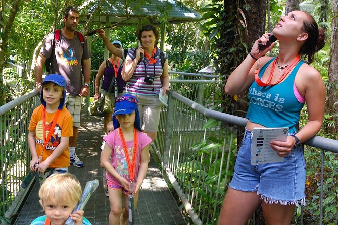 Daintree Discovery Centre Single Pass - How the 2-hour self-guided loop really works