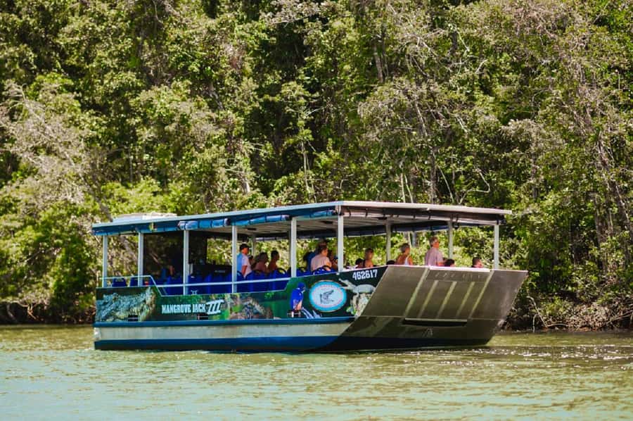 Daintree: Guided Daintree River Wildlife Cruise - What you’ll see on the Daintree River: mangroves, crocodiles, and more