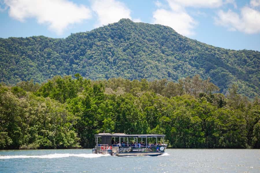 Daintree: Guided Daintree River Wildlife Cruise - How the guide turns spotting into an actual skill