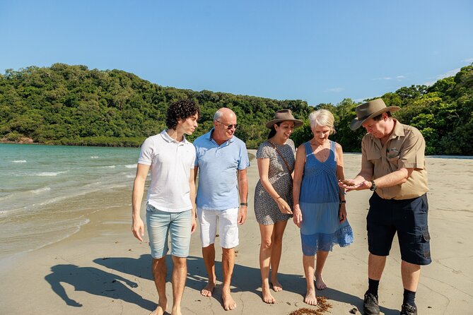Daintree Rainforest and Cape Tribulation Day Tour from Cairns - A 6:45 am Cairns Start That Pays Off in Real Time