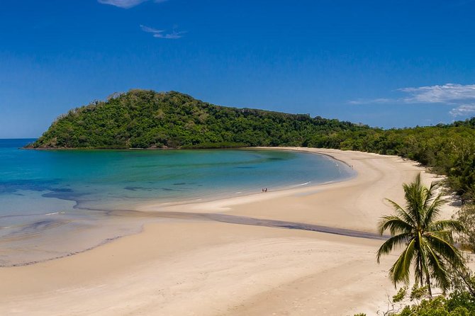 Daintree Rainforest and Cape Tribulation Day Tour from Cairns - Cape Tribulation Beach: The Famous Where Rainforest Meets Reef Moment