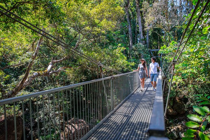 Daintree Rainforest and Cape Tribulation Day Tour from Cairns - The Ferry Crossing and the Drive Through Wet Tropics Country