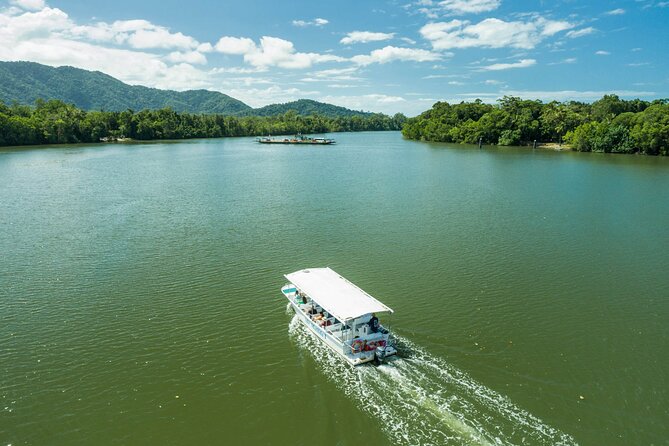 Daintree Rainforest and Cape Tribulation Full Day Tour - Lunch in the Rainforest: Food That Feels Included, Not Added On