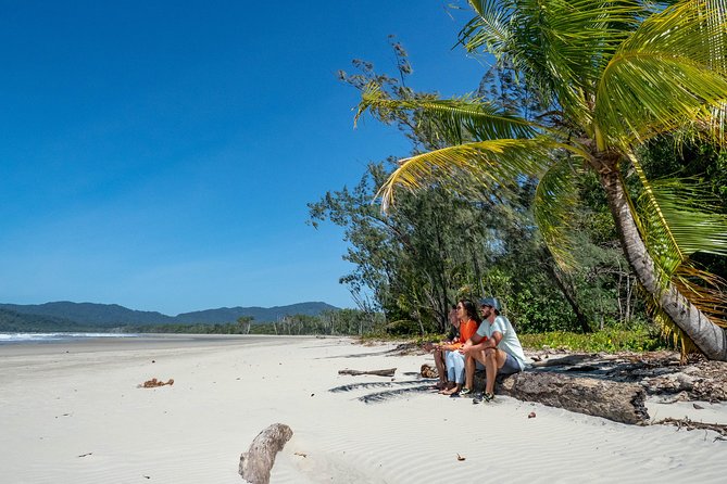 Daintree Rainforest and Mossman Gorge: Full Day Tour - Why This Daintree and Mossman Gorge Day Works So Well From Port Douglas