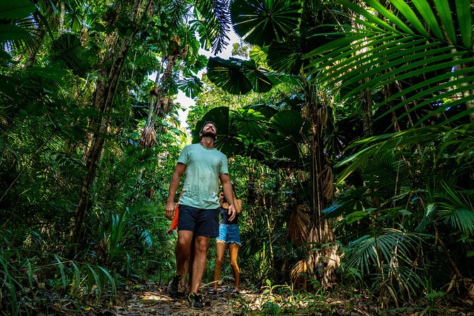 Daintree Rainforest and Mossman Gorge: Full Day Tour - Second Cooper Creek Wilderness Boat Time: Why You Get Two Chances at the Same Magic