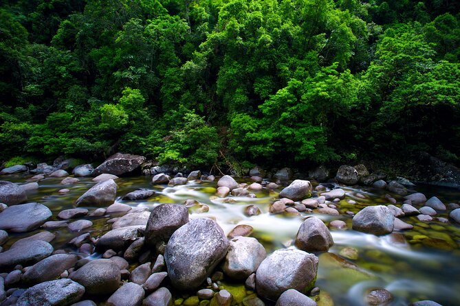 Daintree Rainforest, Mossman Gorge Small-Group from Port Douglas - The Optional Ice Cream Stop and the Cable Ferry Crossing Home