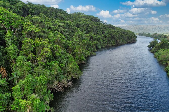 Daintree River Cruise - Why the Guide Makes or Breaks the Cruise