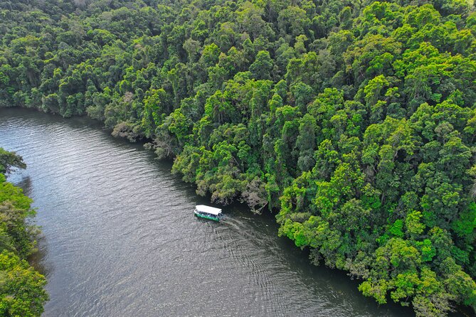 Daintree River Cruise - Daintree Village vs Daintree Gateway: Pick Your Views
