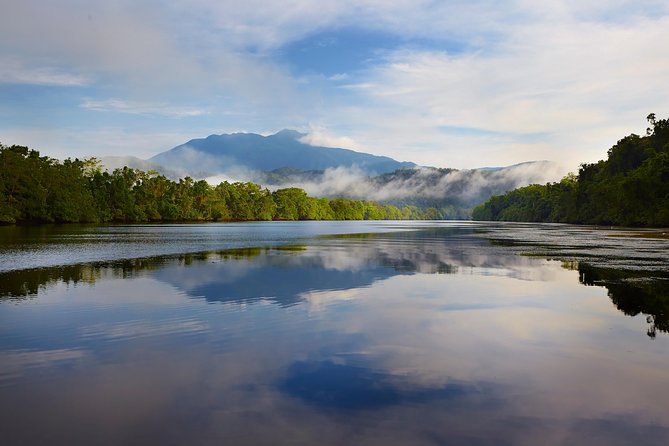 Daintree River 'Dawn' Cruise with the Daintree Boatman - The route on the Daintree River: freshwater origins to mangroves