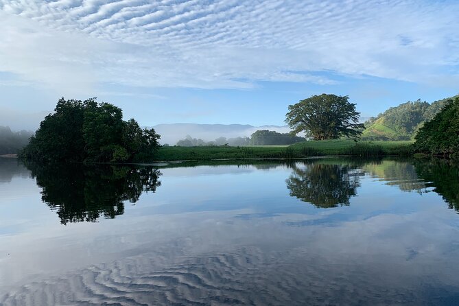 Daintree River 'Dawn' Cruise with the Daintree Boatman - Who should book, and who might want a different type of outing