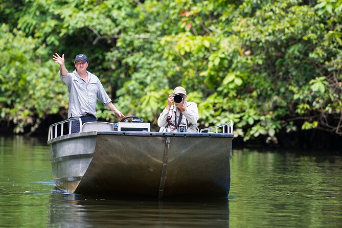 Daintree River 'Dawn' Cruise with the Daintree Boatman - Wildlife spotting with Murray: how the guide turns sightings into understanding