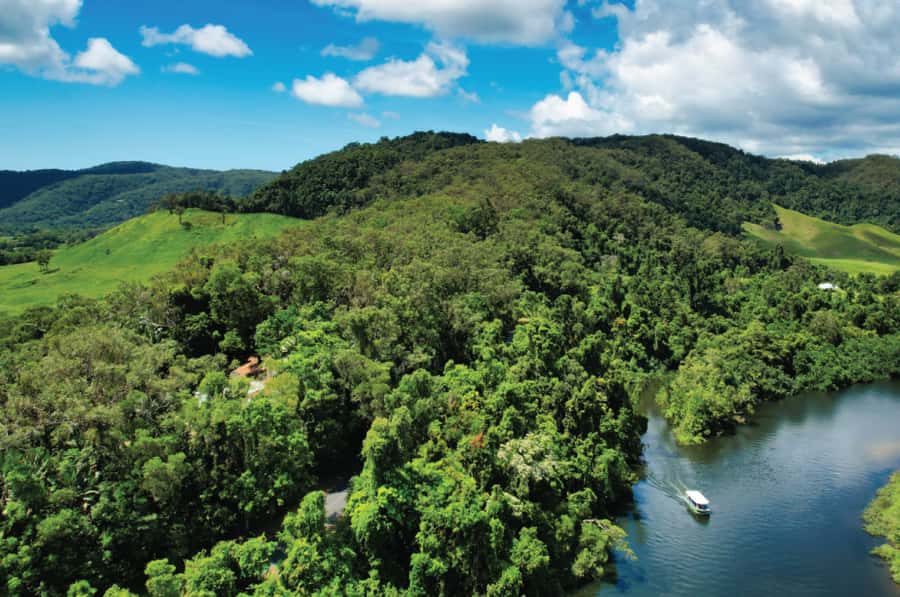 Daintree: River Rainforest Crocodile & Wildlife Cruise (DV) - Key Things I’d Bet On Before You Go