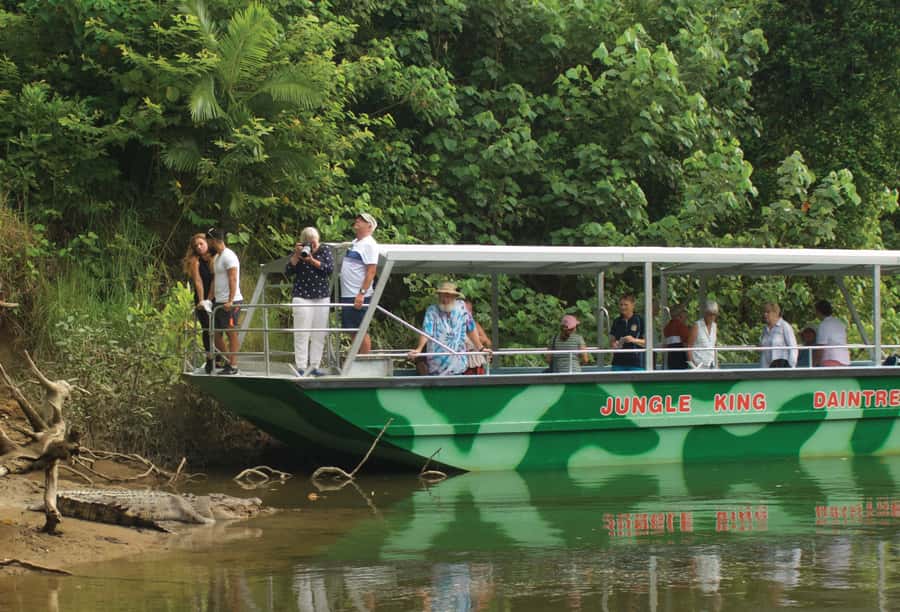 Daintree: River Rainforest Crocodile & Wildlife Cruise (DV) - Best Time to Go If You Want More Crocodiles