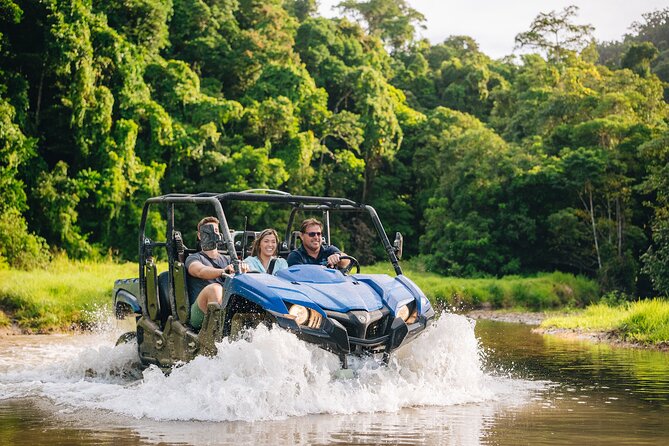 Daintree Waters Tour - Why this Port Douglas to Daintree day feels like a full adventure