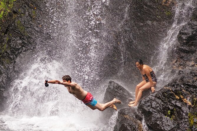 Daintree Waters Tour - Cassowary Falls swim: when to wear, what to bring, and what to expect