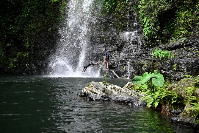 Daintree Waters Tour - The Army truck ride: how the rainforest becomes a story