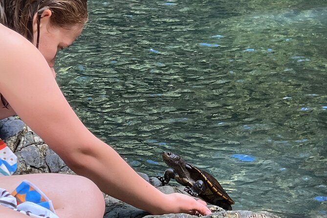 Daintree Waters Tour - Price and value: what $175.72 really buys you