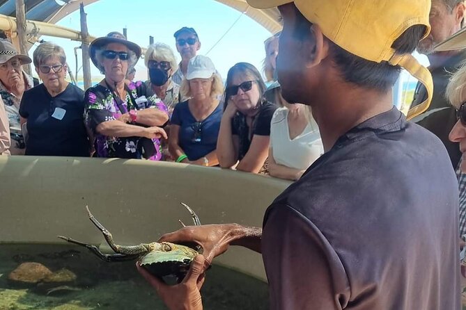 Dampier Peninsula & Aboriginal Communities from Broome (Optional Scenic Flight) - Price and value: what $250.32 buys you, and what costs extra