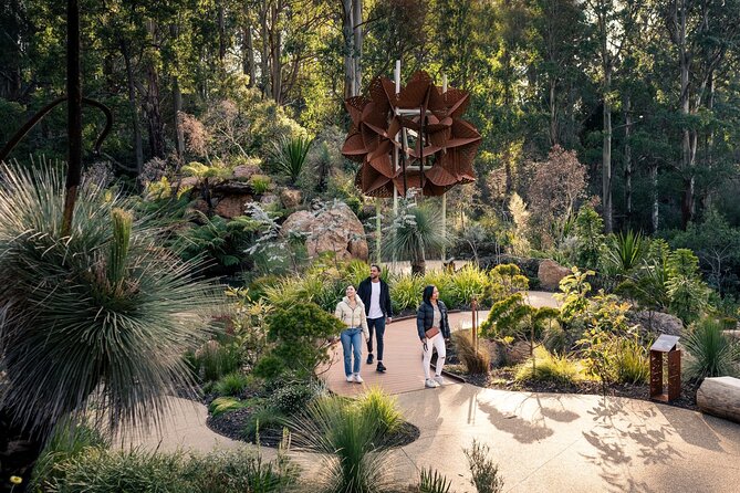 Dandenong Ranges Private Day Tour - What to wear and bring for a cool, foresty half day