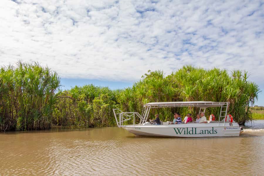 Darwin: Adelaide River Half-Day Jumping Crocs Cruise - Price Value at $119, and What You’re Really Paying For