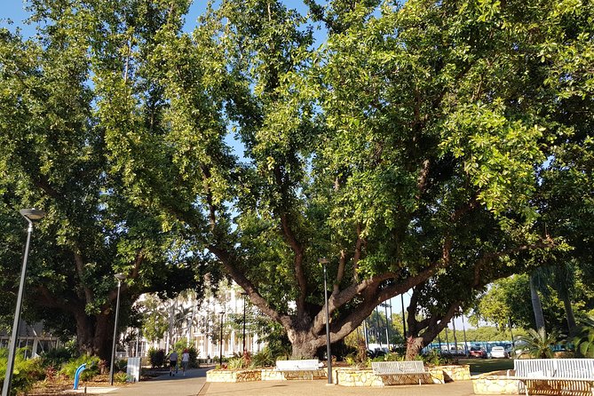 Darwin Heritage Walk - Getting oriented on the way to the first big story