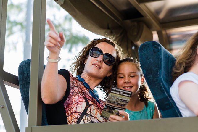 Darwin History and Wartime Experience Tour - Key Highlights to Know Before You Go