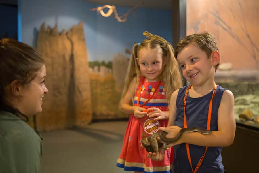 Darwin: Hop-On Hop-Off Bus, Crocosaurus Cove and RFDS Entry - Key Things I’d Focus On