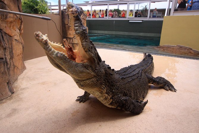 Darwin Hop-on Hop-off Bus Tour - Starting at the Top End Visitor Information Centre
