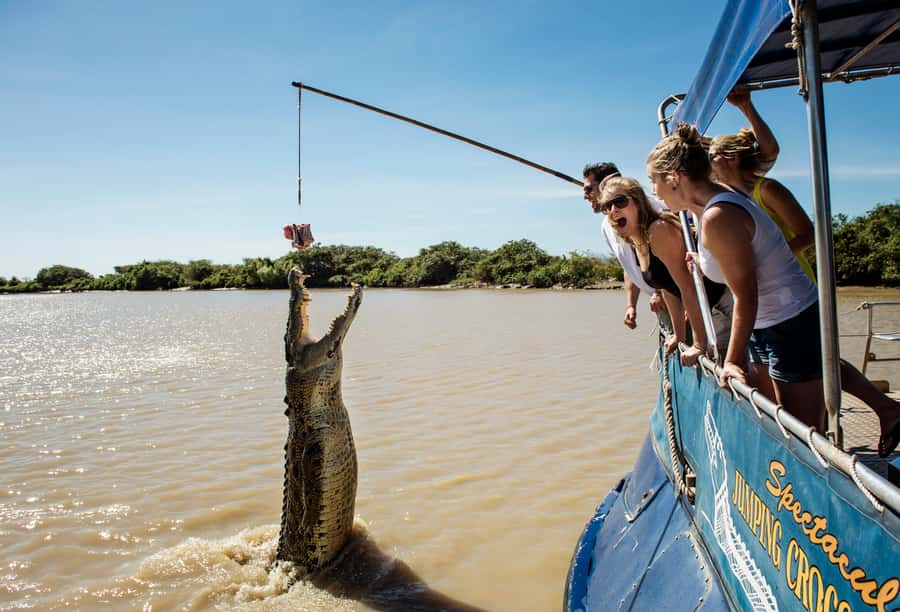 Darwin: Jumping Crocodile Cruise - Key things I’d watch for on this Darwin crocodile cruise