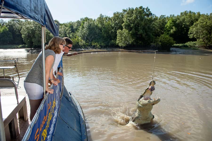 Darwin: Jumping Crocodile Cruise - Should you book the Darwin jumping crocodile cruise?