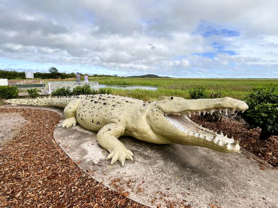 Darwin: Jumping Crocodile Cruise - Watching more than crocs: reptiles, birds, and the Adelaide River wetlands