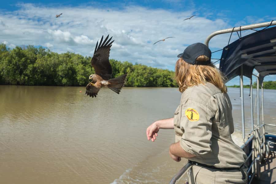 Darwin: Jumping Crocodile Cruise - What to bring, what not to do, and how rain affects your day