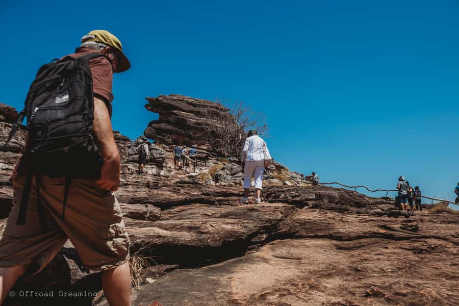 Darwin: Kakadu National Park Day Tour with Lunch - East Alligator River on the Guluyambi cruise: crocodiles, birds, and rules you should respect