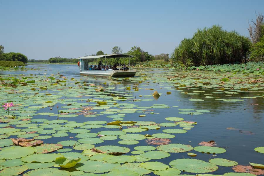 Darwin: Mary River Wetlands Wildlife Cruise with Lunch - Darwin pickup to Fogg Dam: your morning starts with a bird clue
