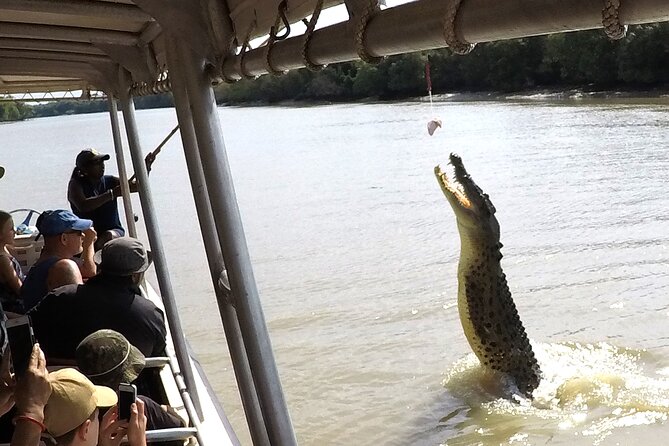 Darwin: Pathfinder Original Jumping Crocodile Cruise - Timing your day: three departure times and how the 1 hour feels