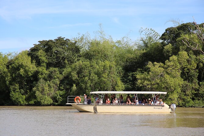 Darwin: Pathfinder Original Jumping Crocodile Cruise - What you learn from the guide during the cruise