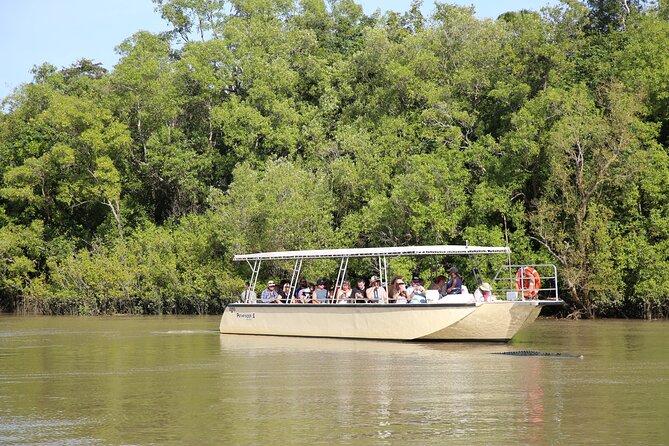Darwin: Pathfinder Original Jumping Crocodile Cruise - Photo moments, open-air comfort, and river conditions