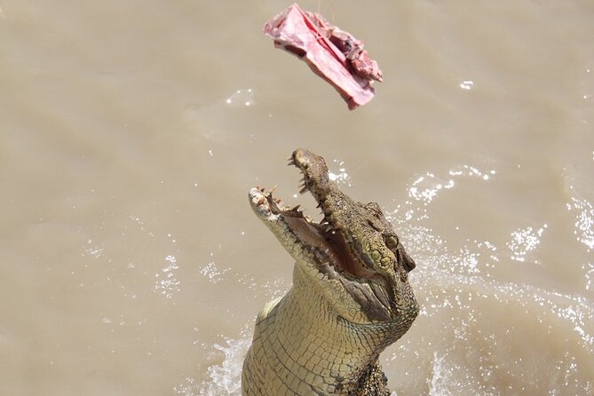 Darwin: Pathfinder Original Jumping Crocodile Cruise - Who this jumping croc cruise suits best