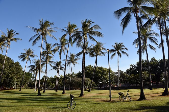 Darwin Shore Excursion: Hop-on Hop-off Bus Tour - Open-top deck comfort: breeze, shade, and what to bring