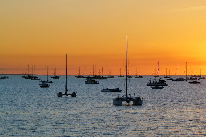 Darwin Shore Excursion: Hop-on Hop-off Bus Tour - Ticket value in Darwin: 24-hour vs 48-hour planning