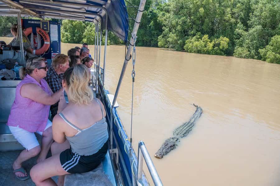 Darwin: Spectacular Jumping Crocodile Adelaide River Cruise - The Crocodile Jump: Close, Spectacular, and Managed